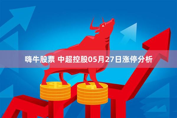 嗨牛股票 中超控股05月27日涨停分析