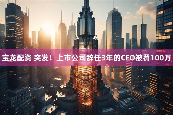 宝龙配资 突发！上市公司辞任3年的CFO被罚100万