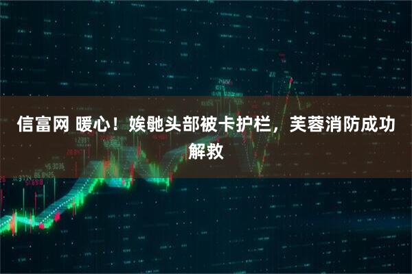 信富网 暖心！娭毑头部被卡护栏，芙蓉消防成功解救