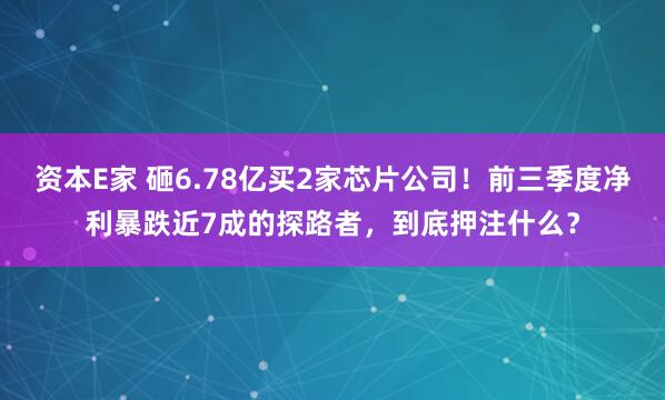 资本E家 砸6.78亿买2家芯片公司！前三季度净利暴跌近7成的探路者，到底押注什么？