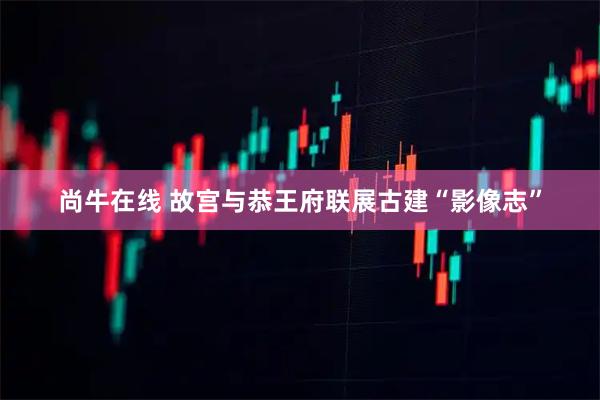 尚牛在线 故宫与恭王府联展古建“影像志”