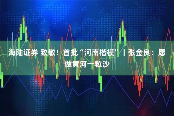 海陆证券 致敬!首批“河南楷模”|张金良:愿做黄河一粒沙