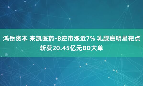鸿岳资本 来凯医药-B逆市涨近7% 乳腺癌明星靶点斩获20.45亿元BD大单